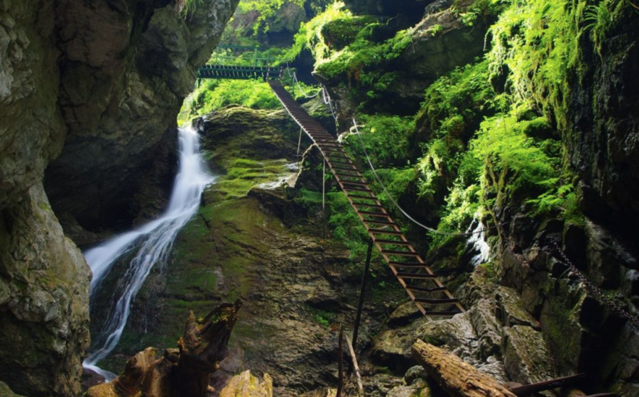Hold Tight—It’s Ladder Time! Hiking Slovak Paradise as a Newcomer